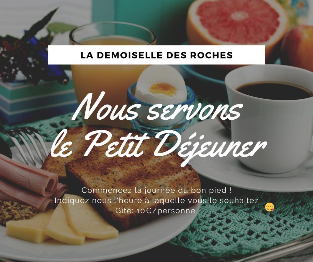 Апартаменты Demoiselle Des Roches Ramonchamp Экстерьер фото