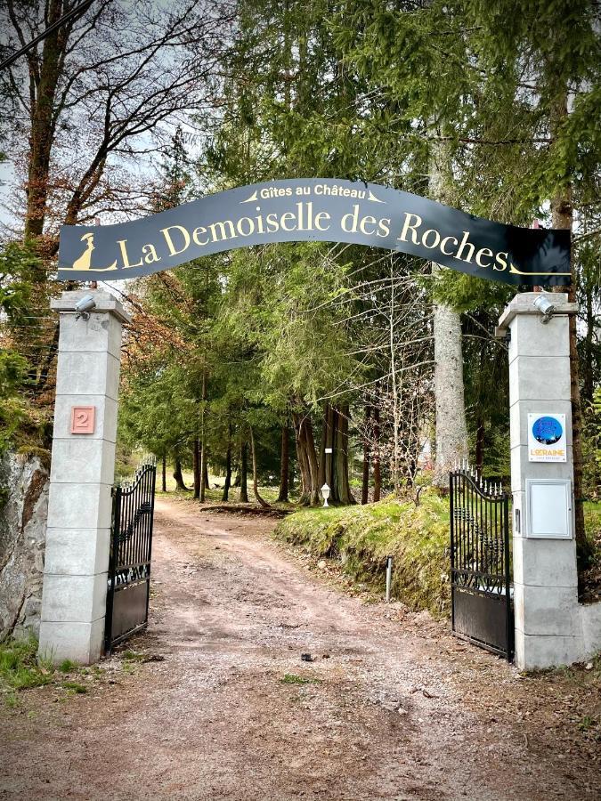 Апартаменты Demoiselle Des Roches Ramonchamp Экстерьер фото